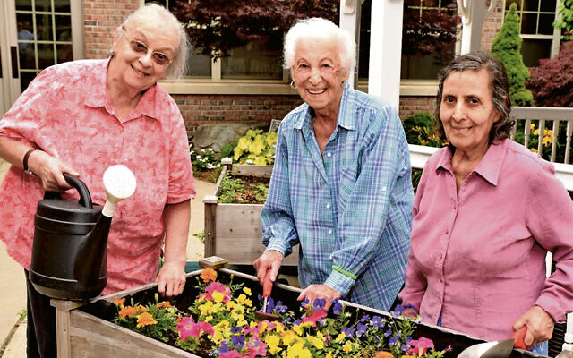 Raised garden in Memory Lane x